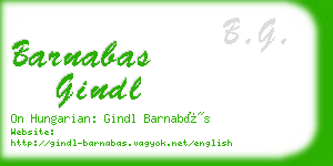 barnabas gindl business card